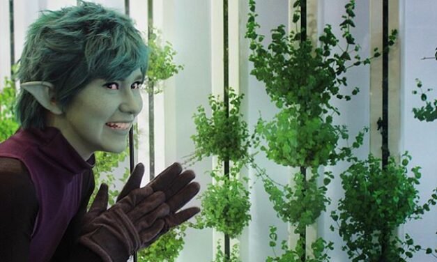 Veganism in Cosplay